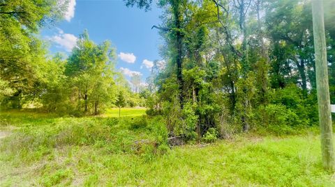Tiny photo for 1 NE 66th Ln, Bronson, FL 32621 (MLS # GC540540)