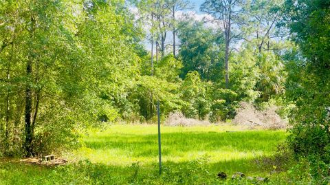 Tiny photo for 1 NE 66th Ln, Bronson, FL 32621 (MLS # GC540540)