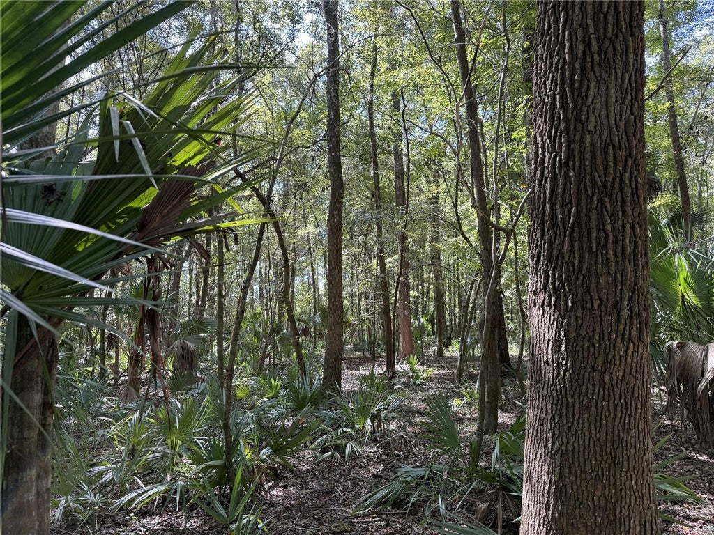 Photo of 1 NW 193rd St, Micanopy, FL 32667 (MLS # OM731191)