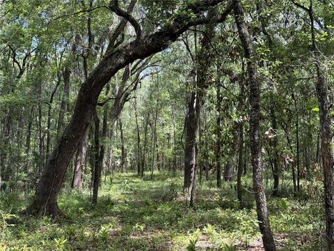 Tiny photo for 1 NW 193rd St, Micanopy, FL 32667 (MLS # OM731191)