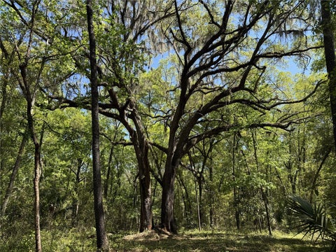 Tiny photo for 1 NW 193rd St, Micanopy, FL 32667 (MLS # OM731191)