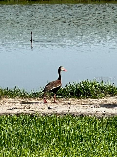 STAR FARMS- PH V SUBPHASES A - Residential