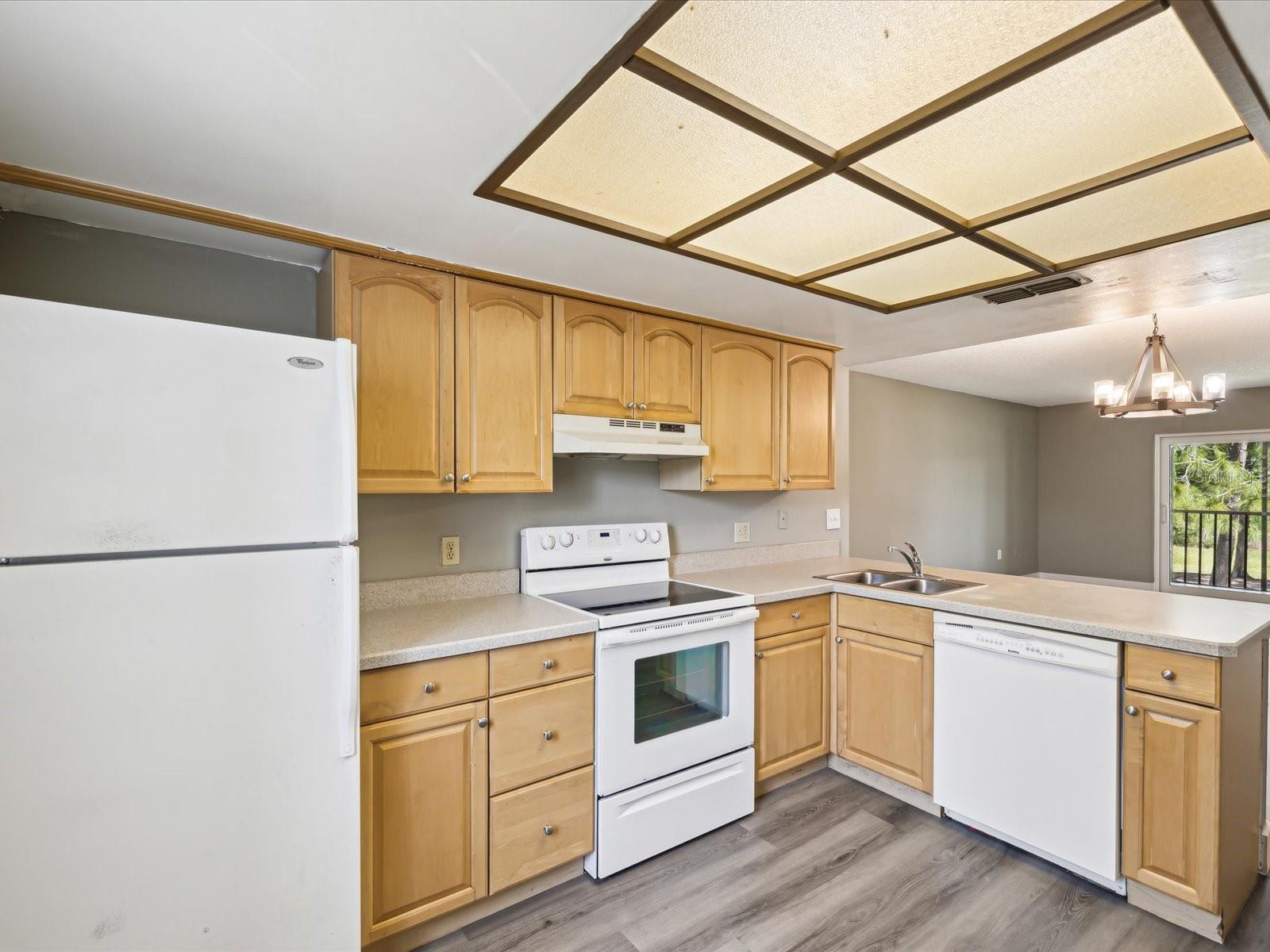 EAST LAKE WOODLANDS, THE MEADOWS CONDO - Residential