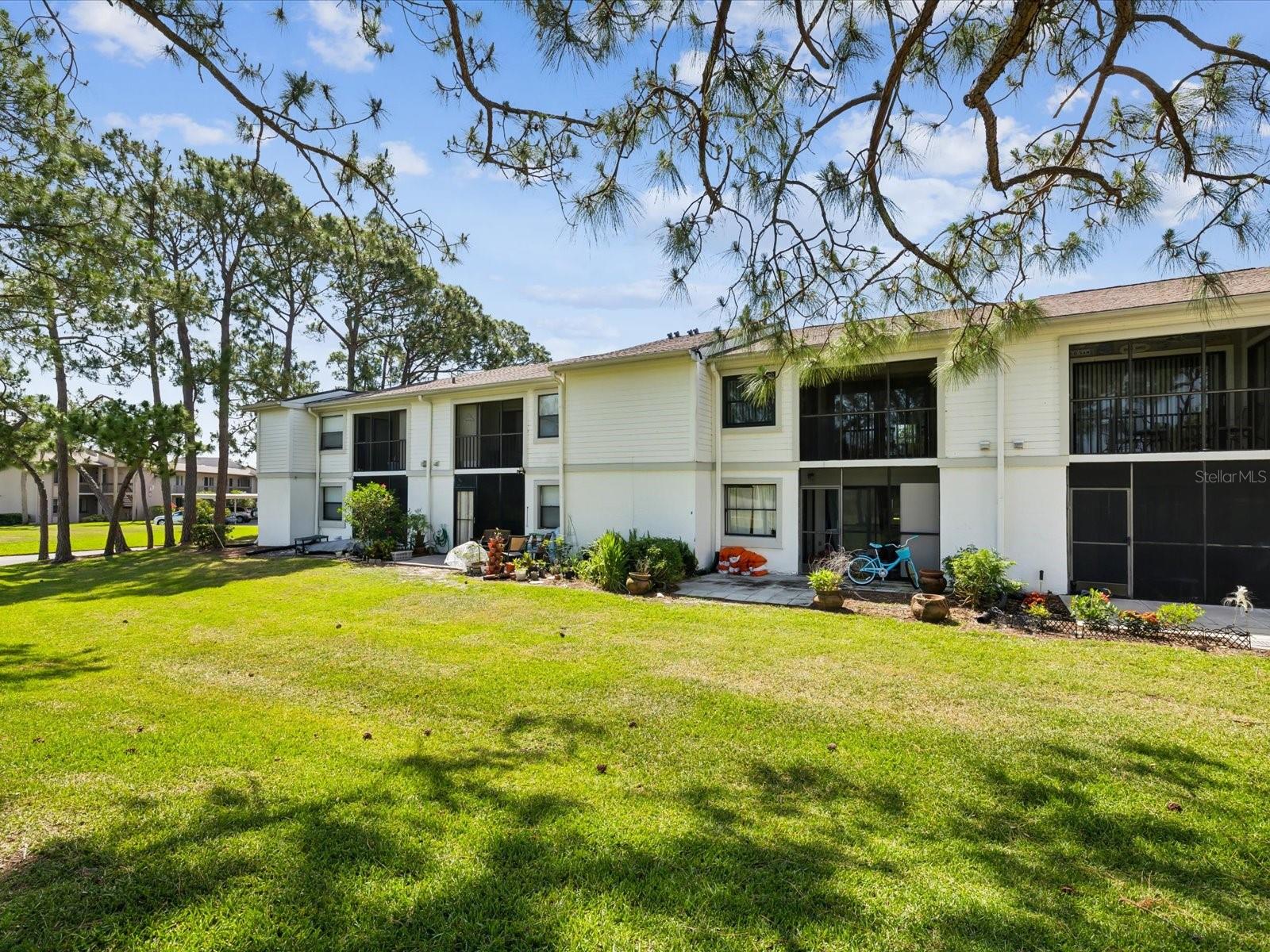 EAST LAKE WOODLANDS, THE MEADOWS CONDO - Residential