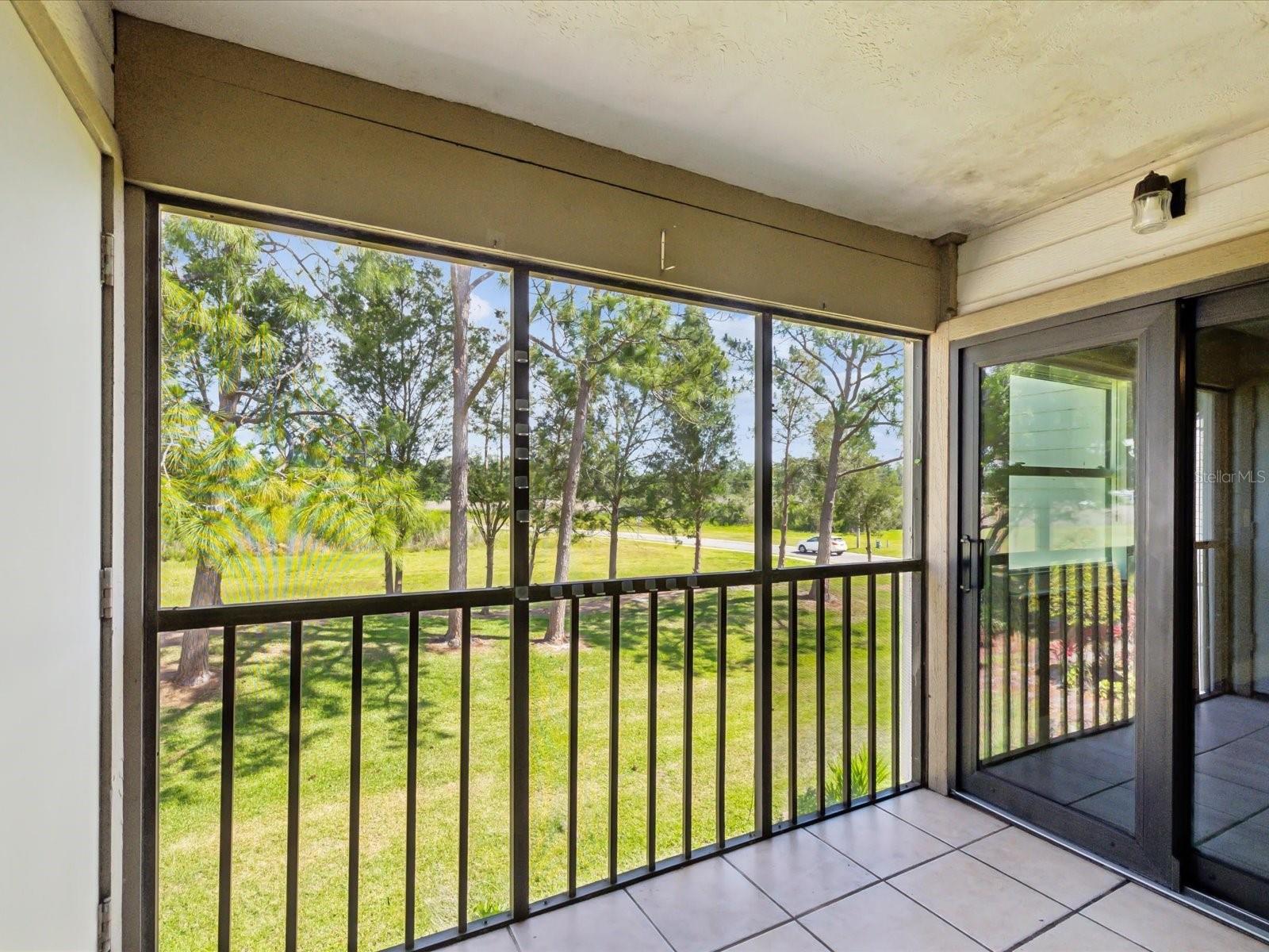 EAST LAKE WOODLANDS, THE MEADOWS CONDO - Residential