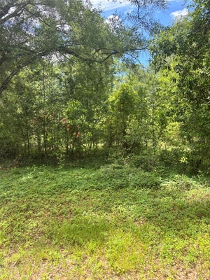 8230 NW 166TH ST, FANNING SPRINGS, FL 32693 - Image 786021b609079e20f3fecb1bcf954fb2/3355831923