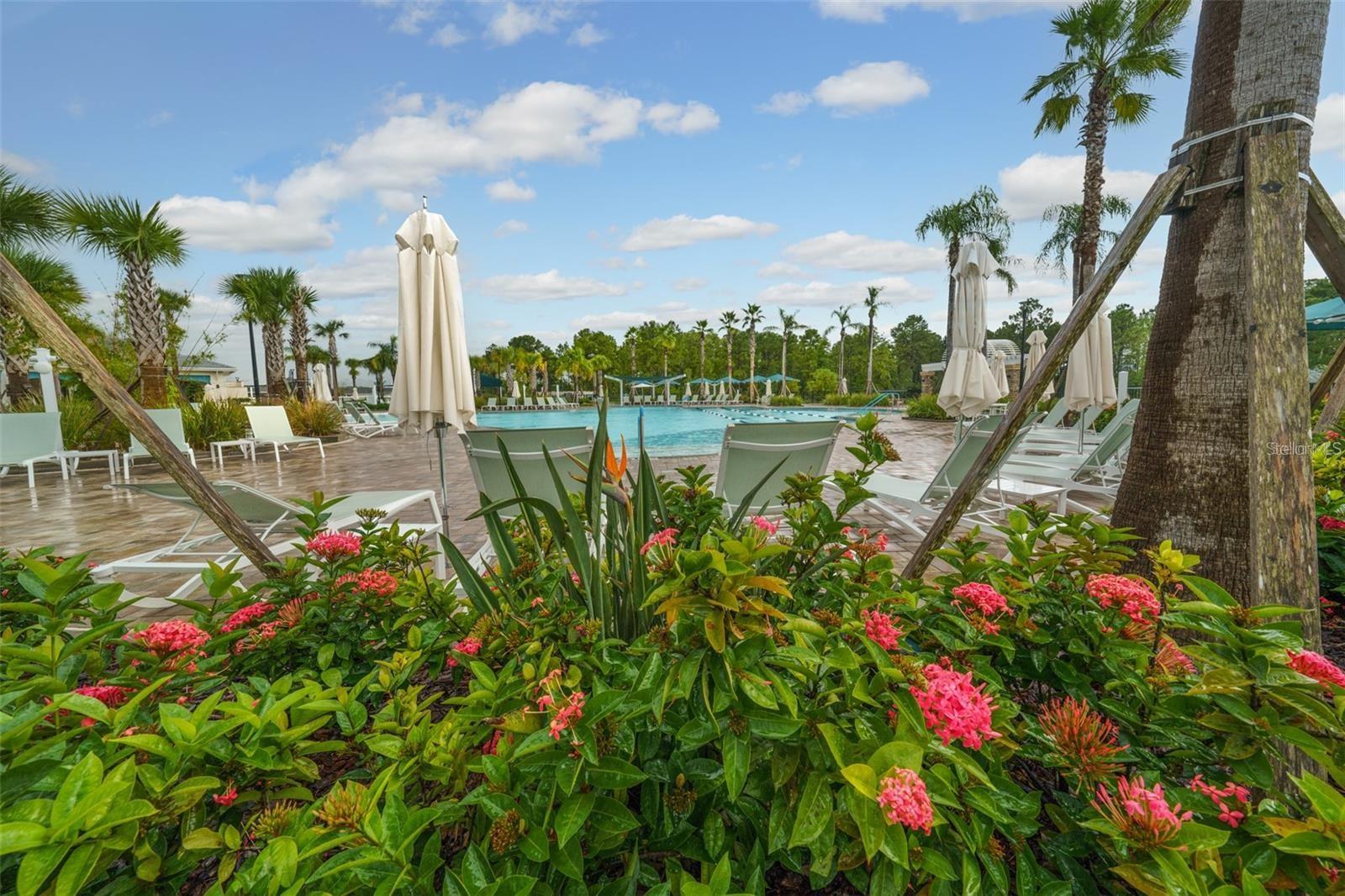 DEL WEBB SUNBRIDGE PH 2A - Residential