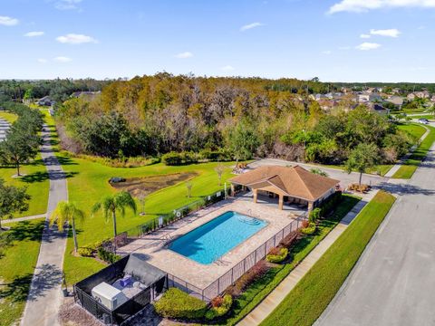 A home in KISSIMMEE