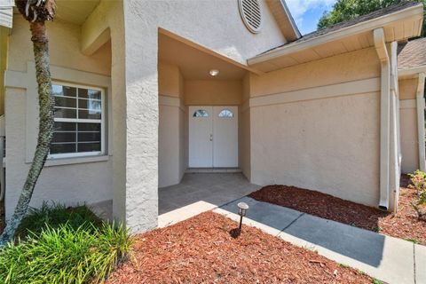 A home in SUN CITY CENTER