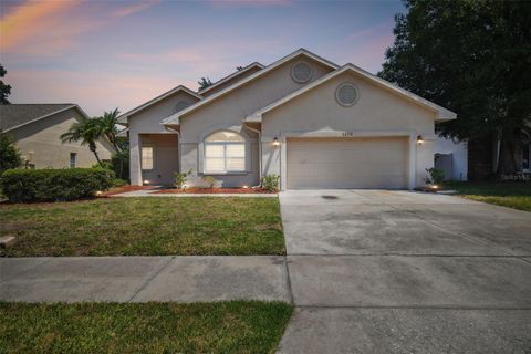 A home in SUN CITY CENTER