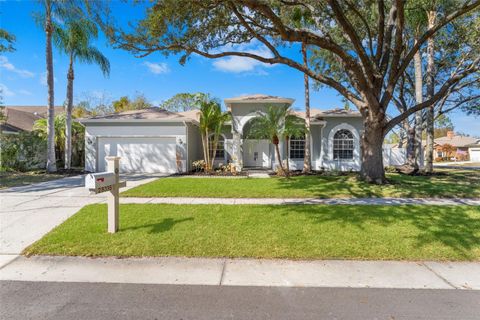 28335 GLADE FERN COURT WESLEY CHAPEL FL 33543