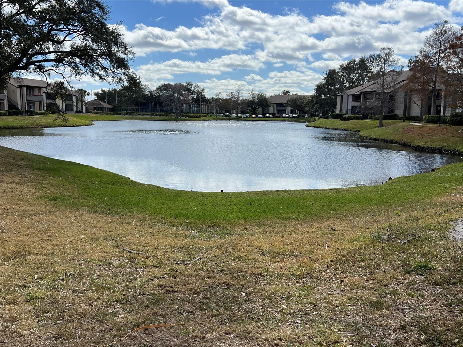 10265 GANDY BOULEVARD N 1709