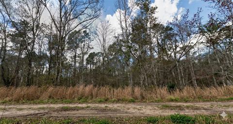 Photo of 10335 Hennessey Avenue, Hastings, FL 32145 (MLS # OM719918)