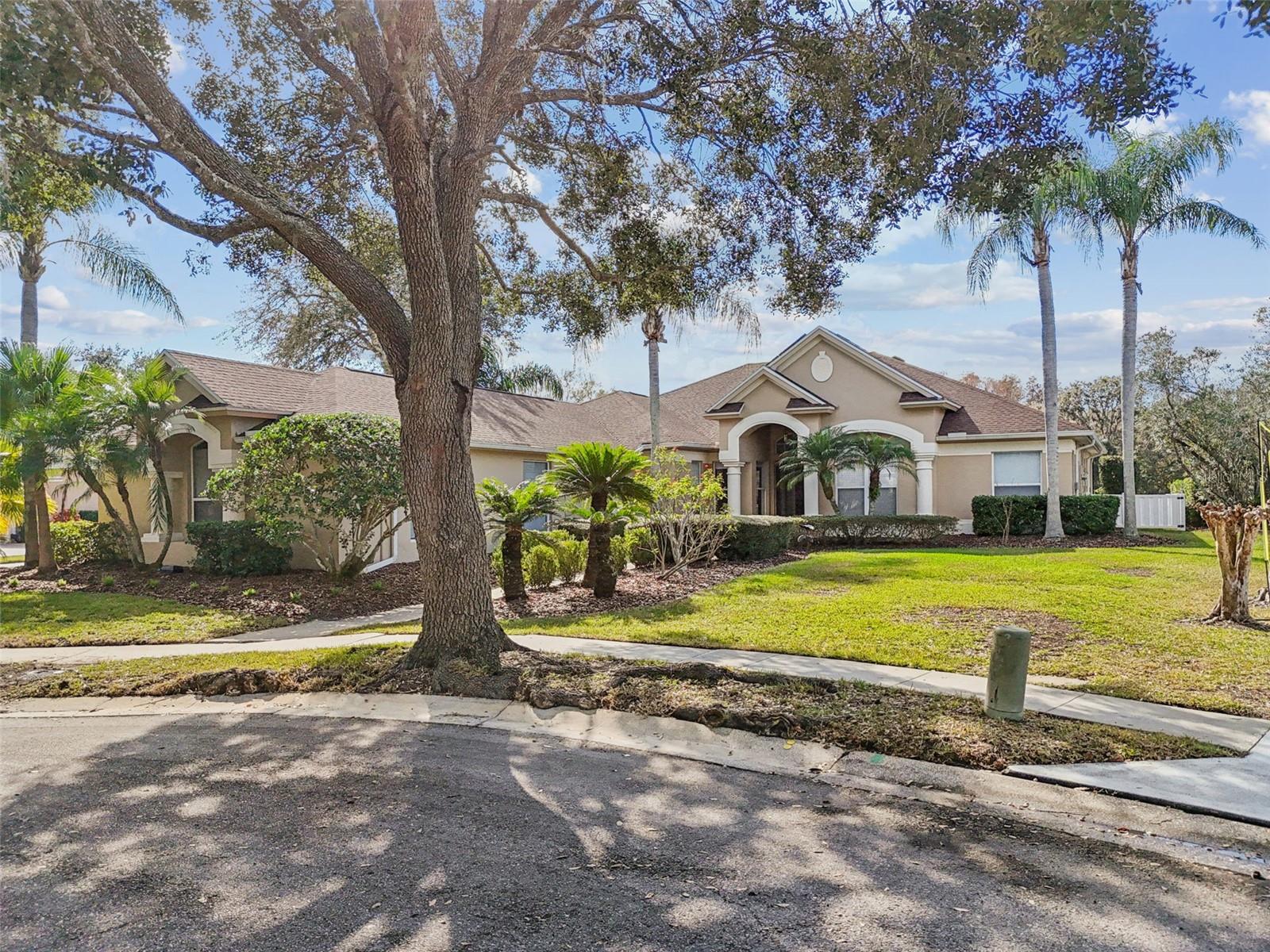 VILLAROSA PH 1C - Residential