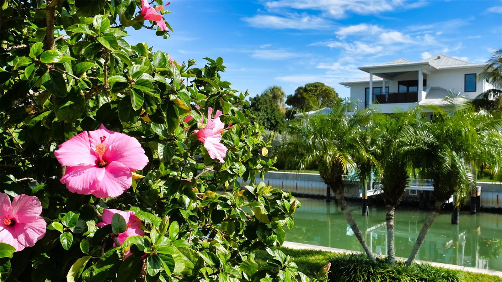 COUNTRY CLUB SHORES - Residential