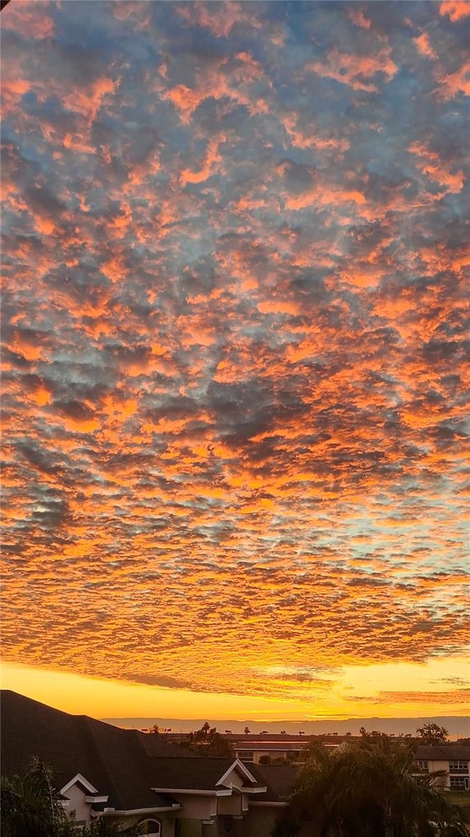 SEA COLONY AT GULF LANDINGS PH 02 - Residential