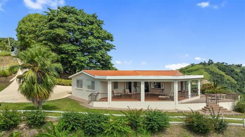 4428 KM 3.1 INT LARES  00669