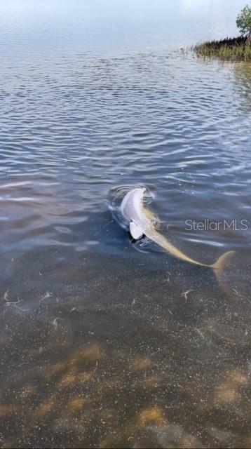 DRIFTWOOD ISLES - Residential