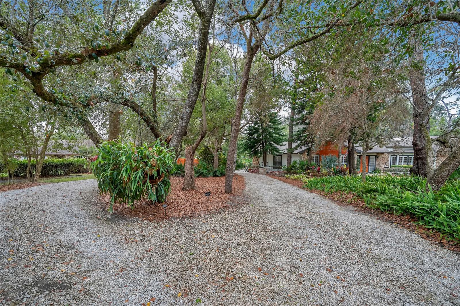 BEAR LAKE FOREST - Residential