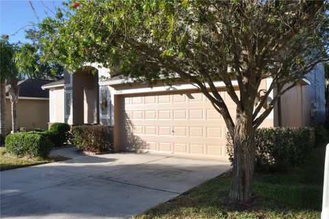 A home in RIVERVIEW