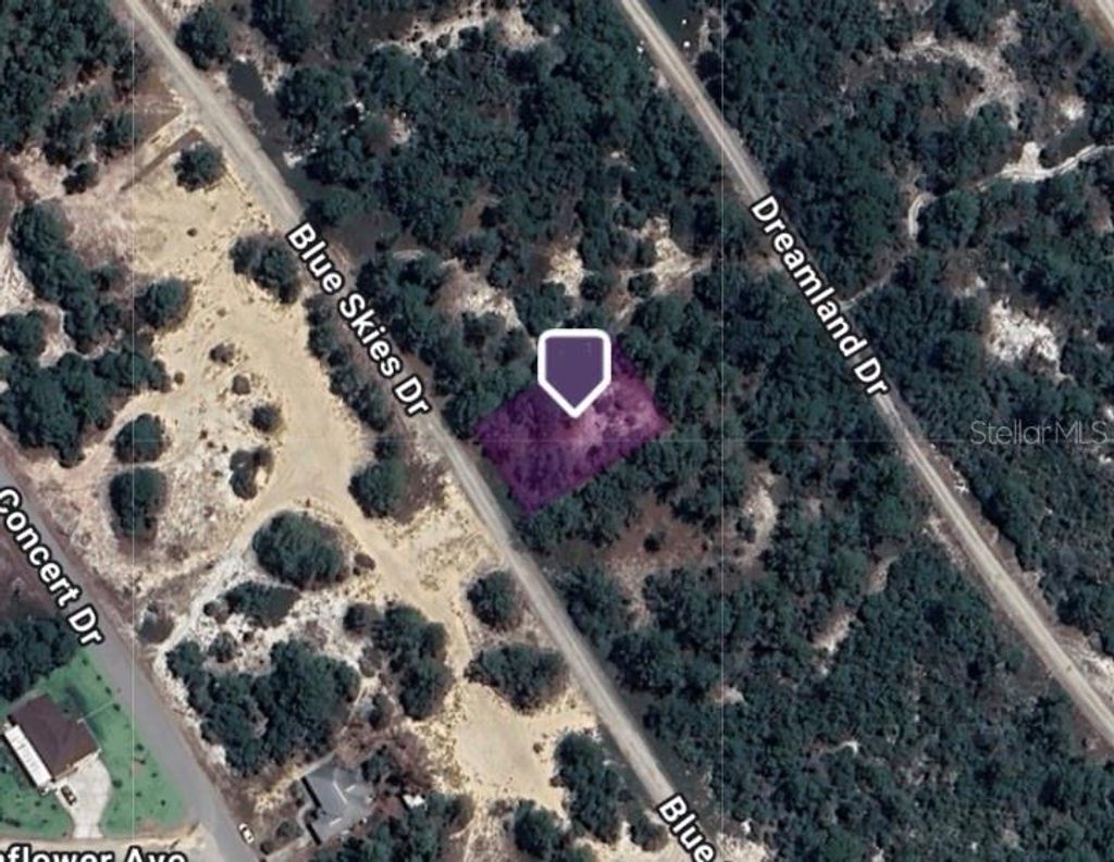 Photo of 521 Blue Skies Drive, Lake Placid, FL 33852 (MLS # TB8434422)