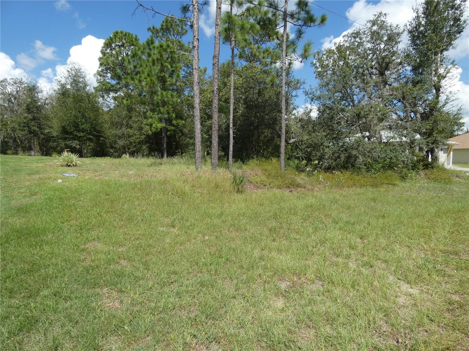 TBD SW 196 AVENUE ROAD

                                                                             DUNNELLON                                

                                    , FL - $47,000