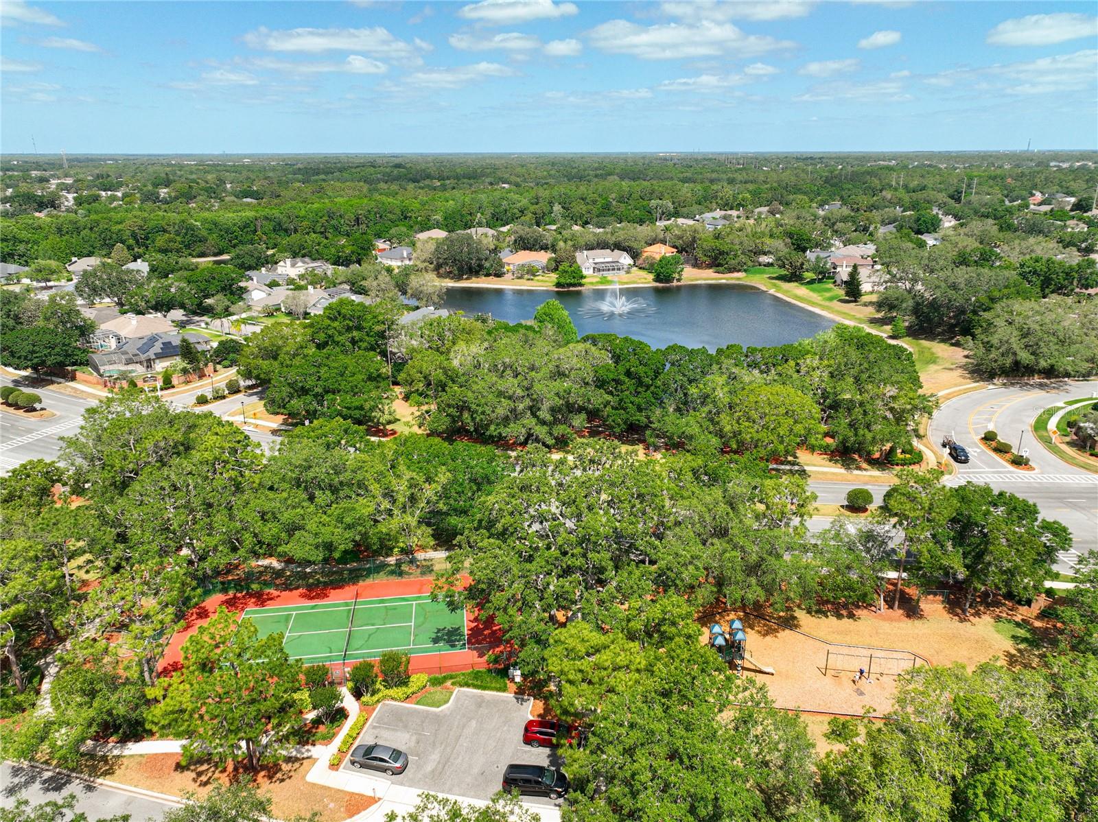 HUNTERS STAND AT CARILLON - Residential