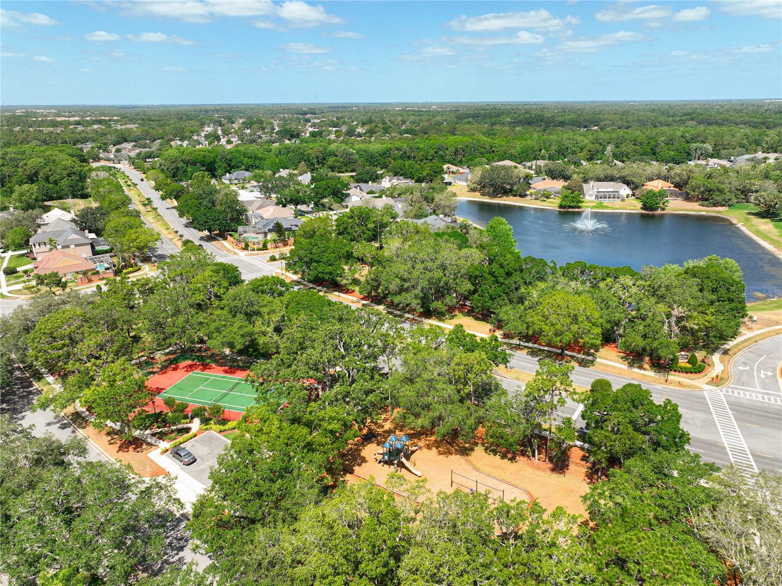 HUNTERS STAND AT CARILLON - Residential