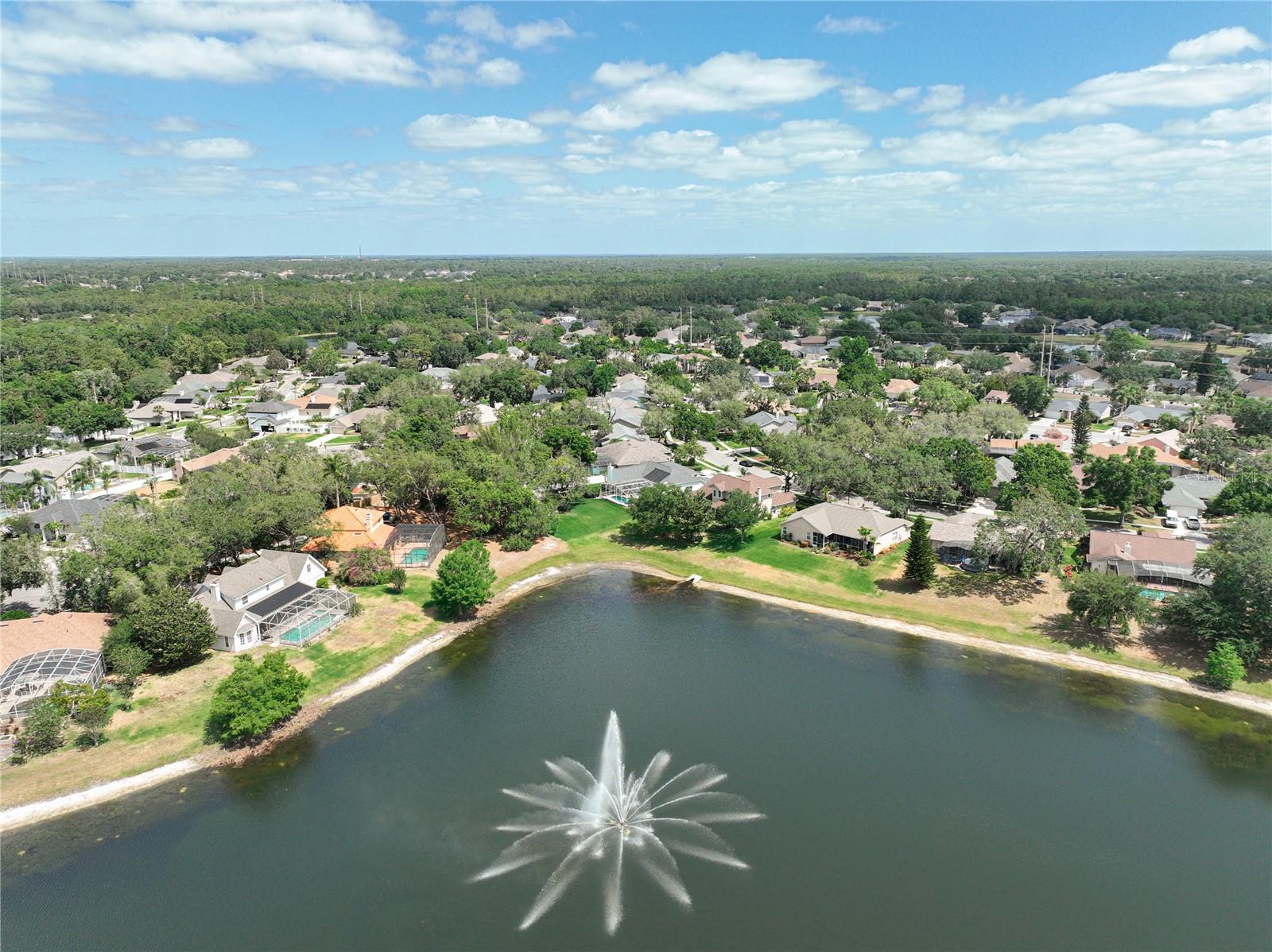 HUNTERS STAND AT CARILLON - Residential