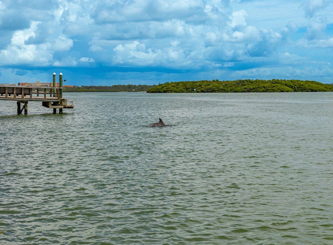 WILLIAMS BILL MADEIRA HARBOR SUB 3RD ADD - Residential