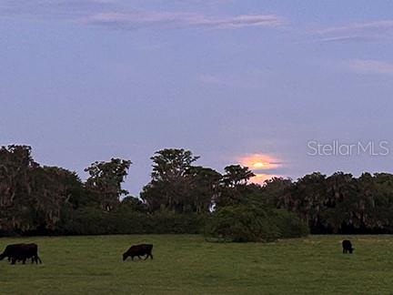 ACREAGE & UNREC - Land