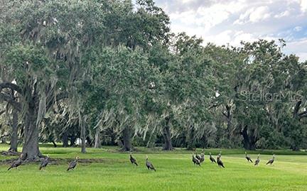 ACREAGE & UNREC - Land