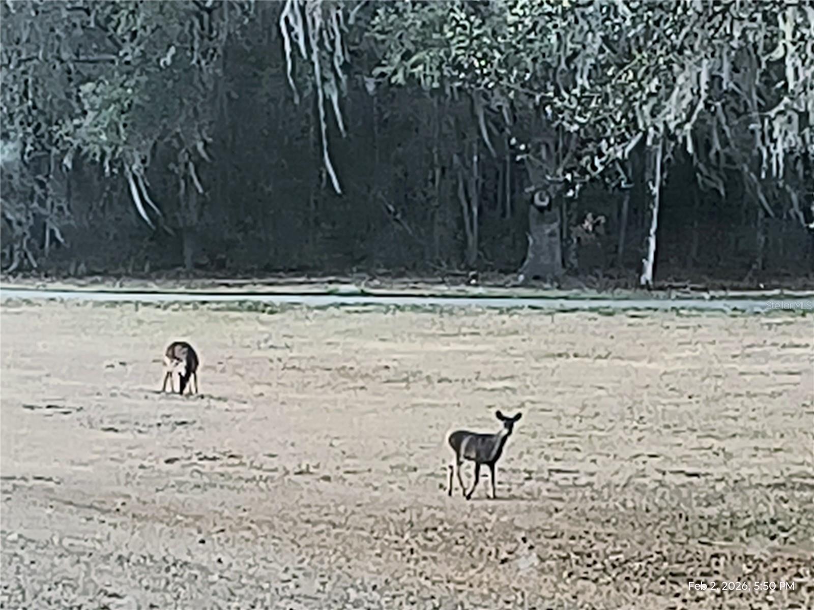 THE VILLAGE AT HIDDEN LAKES - Land