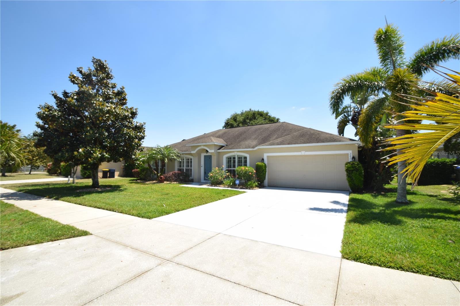 241 PINE SHADOW LANE