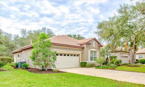 25921 SAN RAFAEL COURT HOWEY IN THE HILLS FL 34737