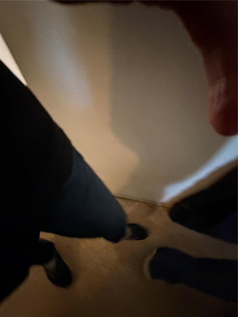 BAY RIDGE ESTATES 3RD ADD - Residential