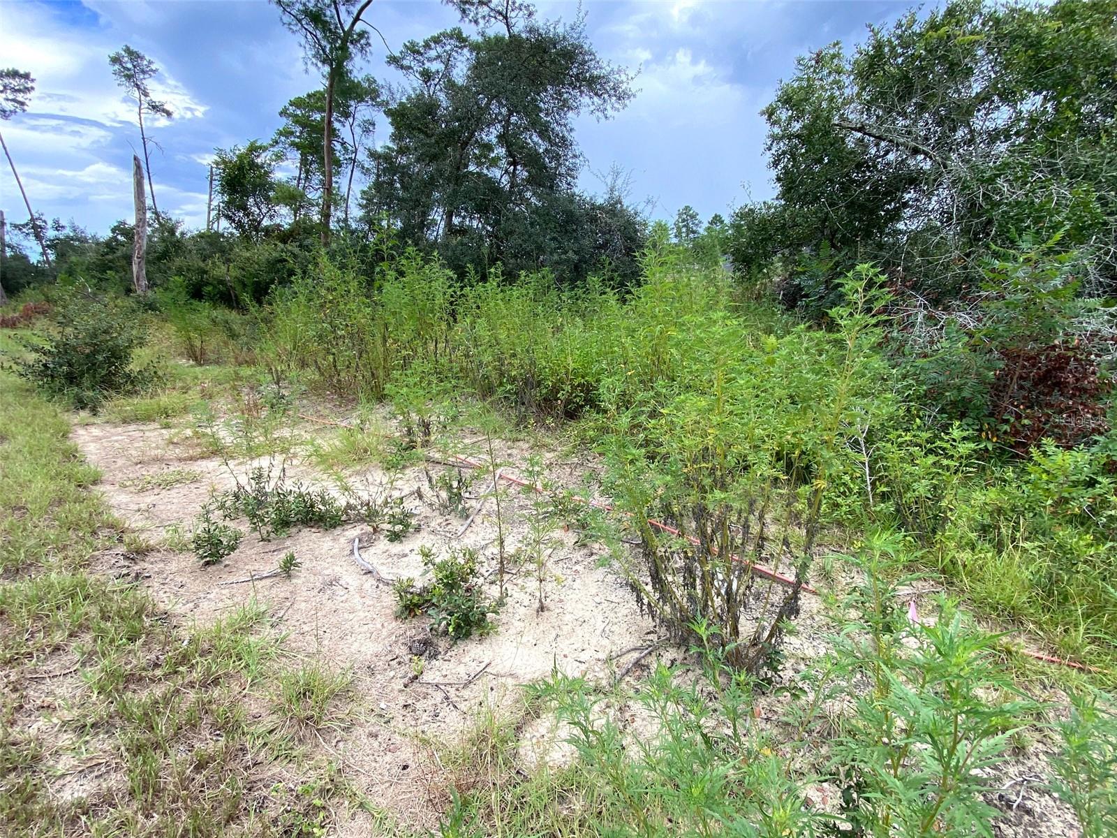 MARION OAKS UN 03 - Land