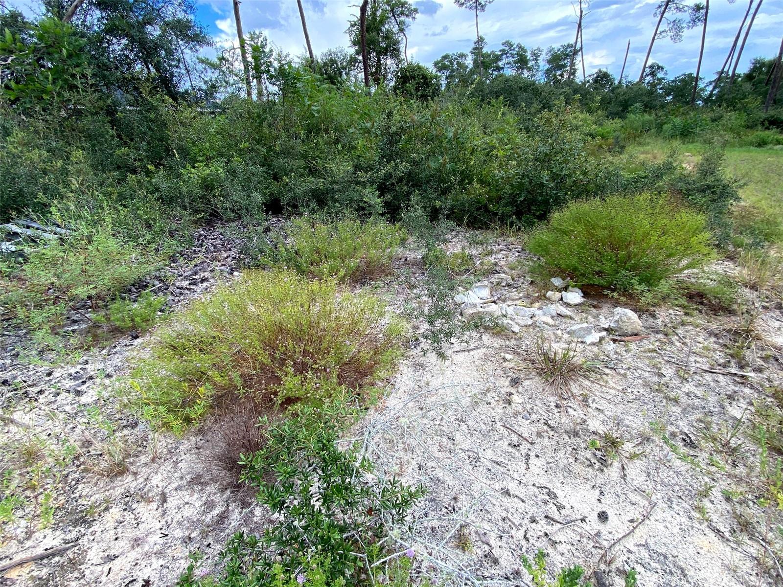 MARION OAKS UN 03 - Land