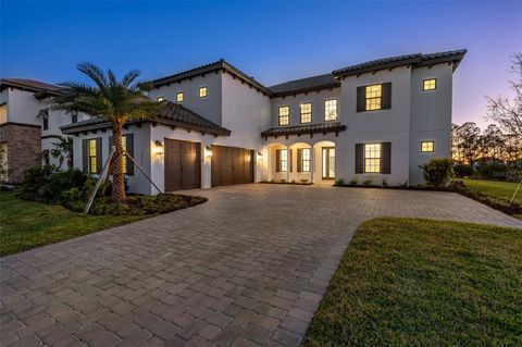 33736 OCEAN SPRAY LANE WESLEY CHAPEL FL 33543