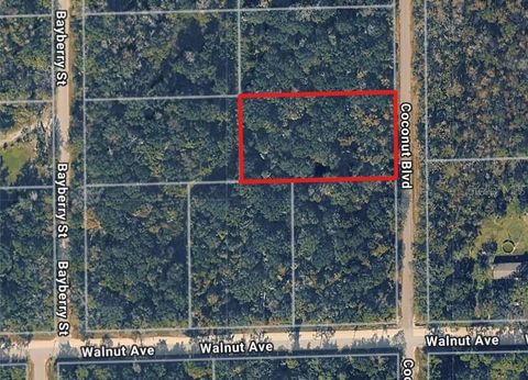 1872 COCONUT BOULEVARD BUNNELL FL 32110