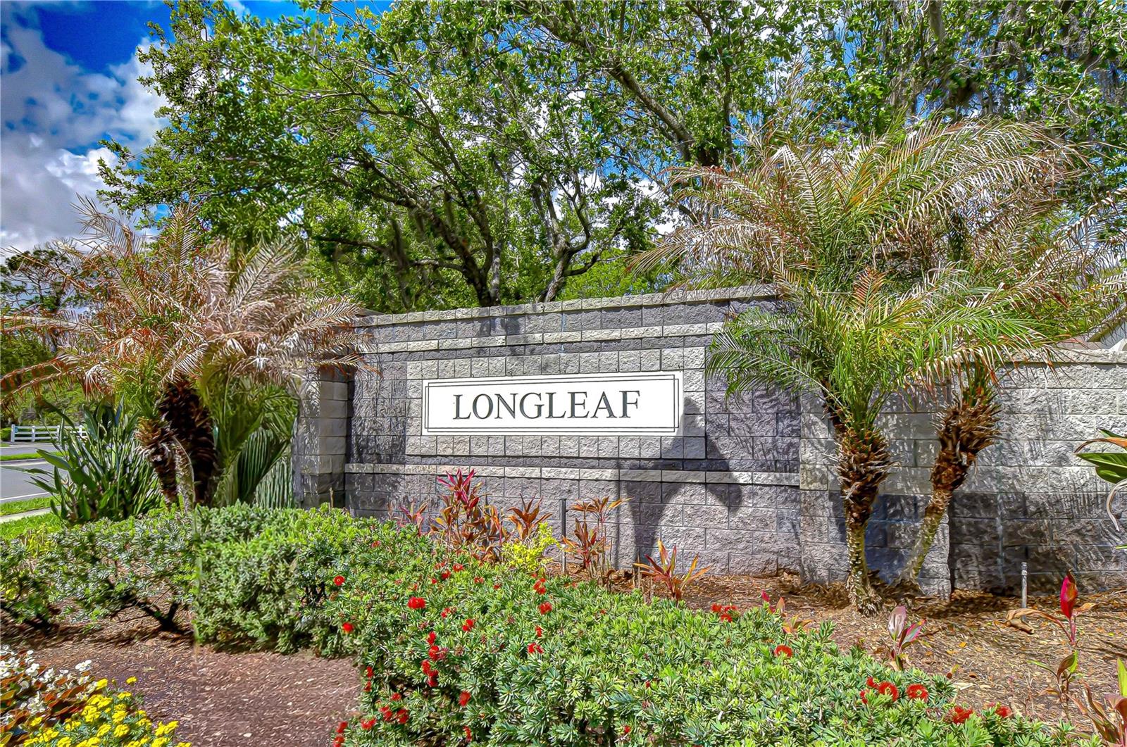 MEADOW POINTE PRCL 12 - Residential