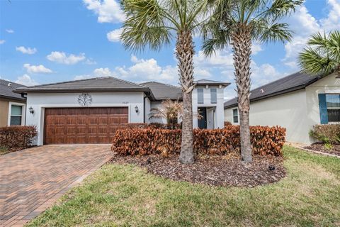 31625 CANNON RUSH DRIVE SAN ANTONIO FL 33576