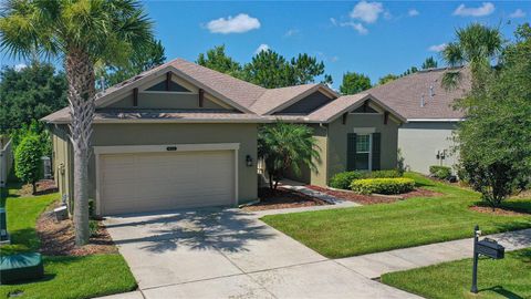 A home in LAND O LAKES