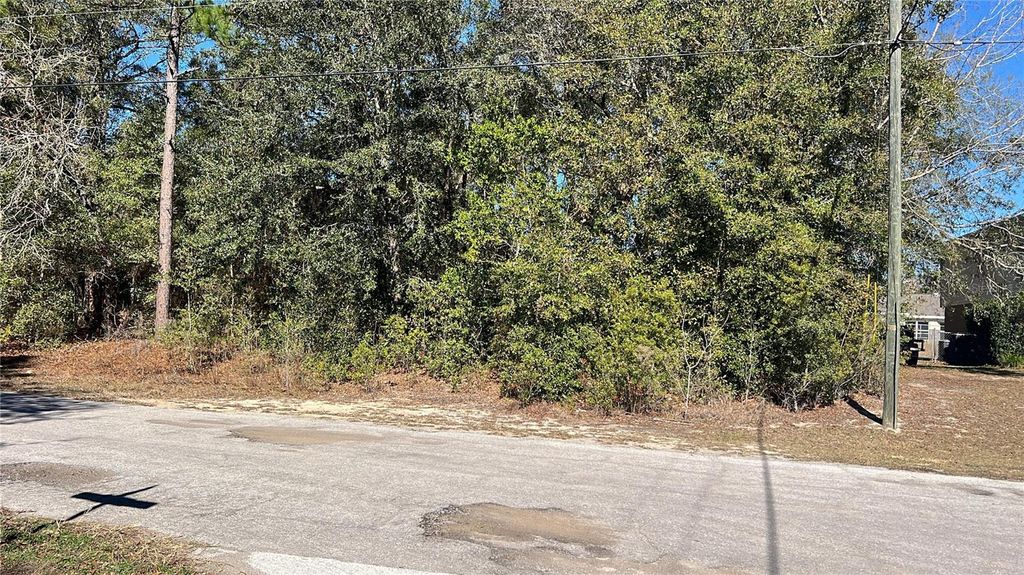 Photo of 2559 W Castle Road, Citrus Springs, FL 34434 (MLS # O6377439)