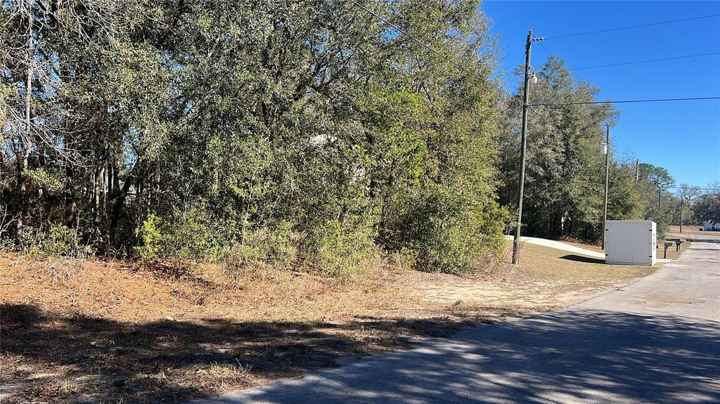 Photo of 2559 W Castle Road, Citrus Springs, FL 34434 (MLS # O6377439)