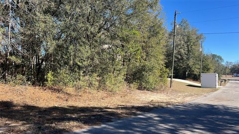 2559 W CASTLE ROAD CITRUS SPRINGS FL 34434