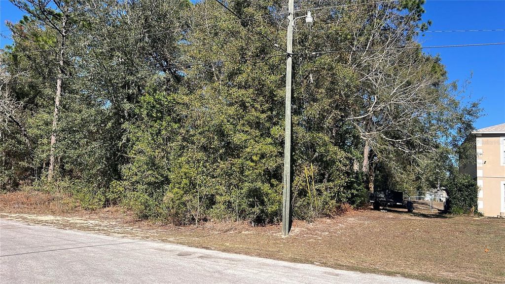 Photo of 2559 W Castle Road, Citrus Springs, FL 34434 (MLS # O6377439)