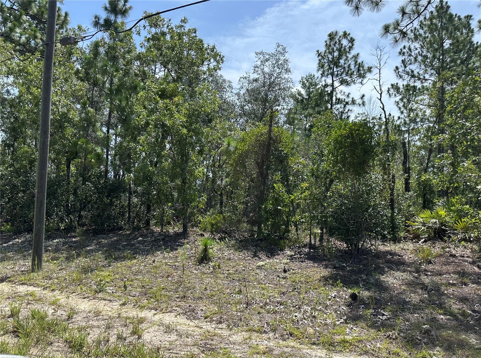 Great Lot in Citrus Springs in Citrus County. .23 acre lot. Great location to build that dream home.