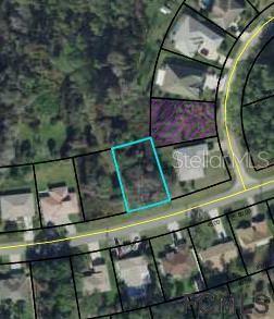 Here's your chance to own a piece of the good life of Flagler County in the Belle Terre section. Build your dream home on this lot! This lot is conveniently located close to Shopping, Dining and Entertainment, as well as Hospitals, Recreation, Parks, and our BEUTIFUL Florida beaches! Palm Coast is known for its Public Parks, Bike Trails, and navigable Waterways, all offering a variety of ways to explore the natural beauty of the area. Don't wait any longer. Begin your new adventure today! All information recorded in the MLS intended to be accurate but cannot be guaranteed.