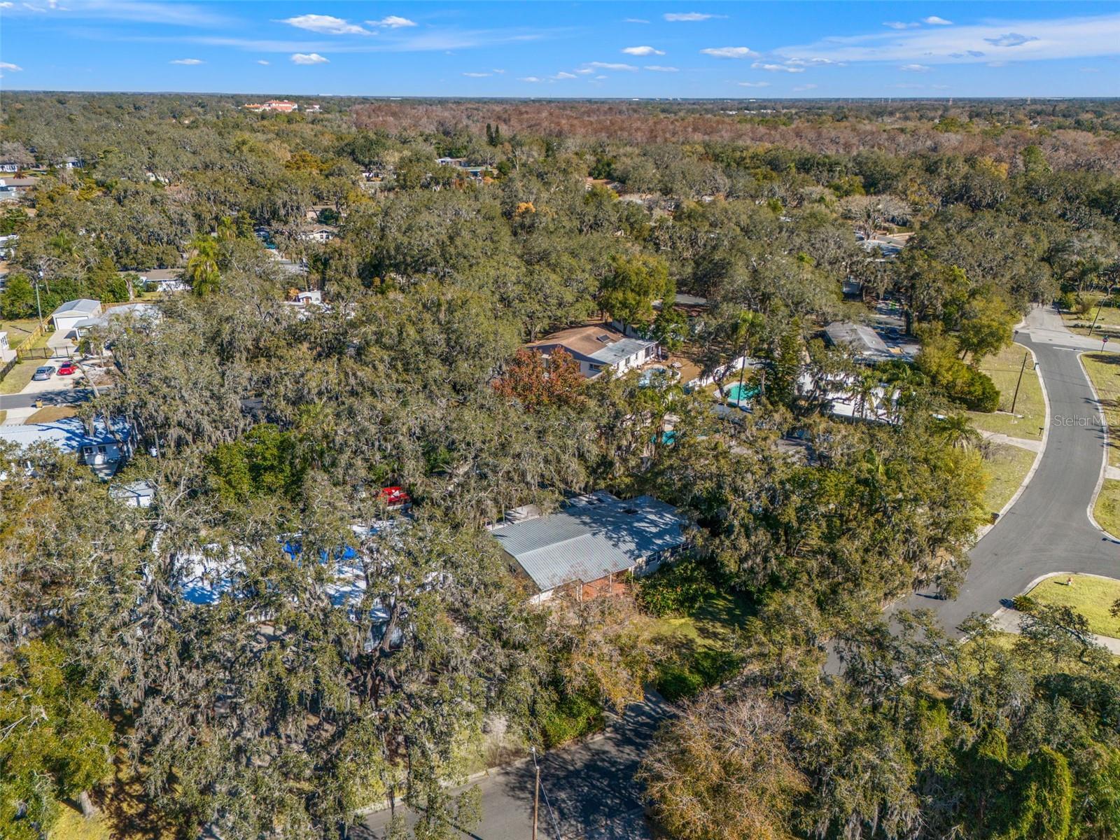 TEMPLE TERRACE RIVERSIDE SUBDI - Residential